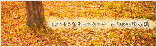 HASHIBUN᡼